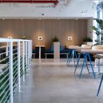 Rénovation de locaux professionnels à Muret 31600