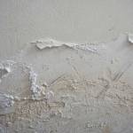 Rénovation de mur humide maison