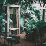 oasis jardin