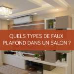 Quels types de faux plafond dans un salon ? La Maison Des Travaux Vannes Sarzeau Pénestin