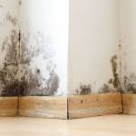 Rénovation intérieure 