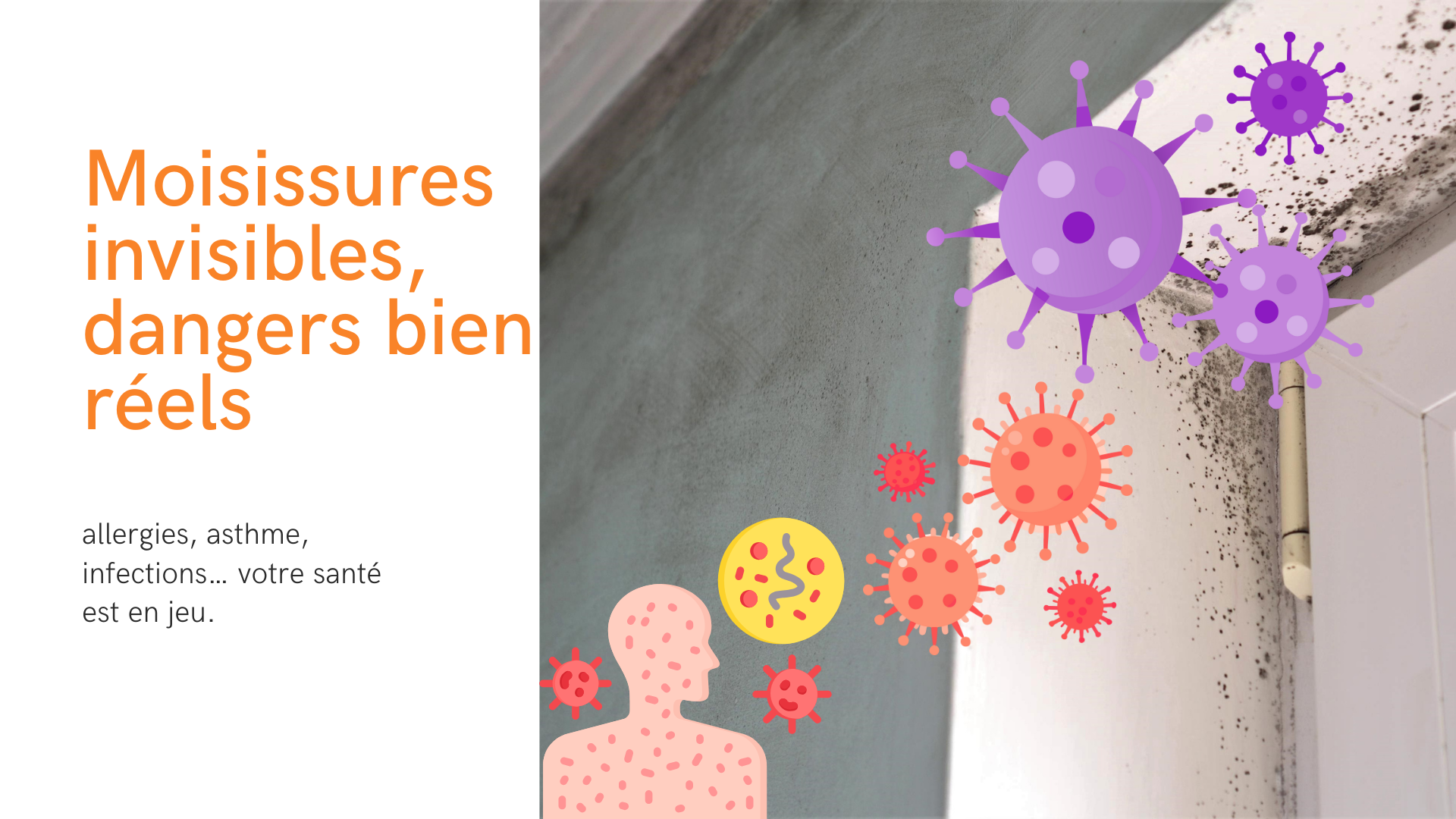 Moisissures invisibles, dangers bien réels : protégez votre santé avec une ventilation adaptée.
